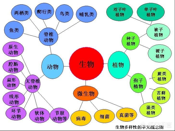 今日科普一下！澳门开奖1877cc,百科词条爱好_2024最新更新