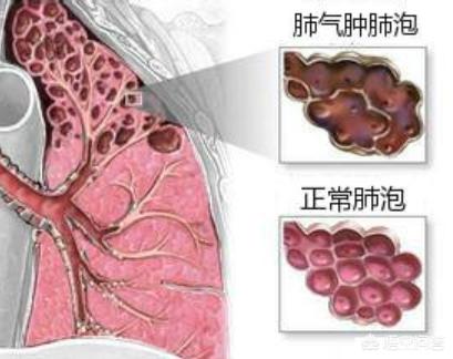 今日科普一下！香港今晚六给彩开奖结果85期,百科词条爱好_2024最新更新