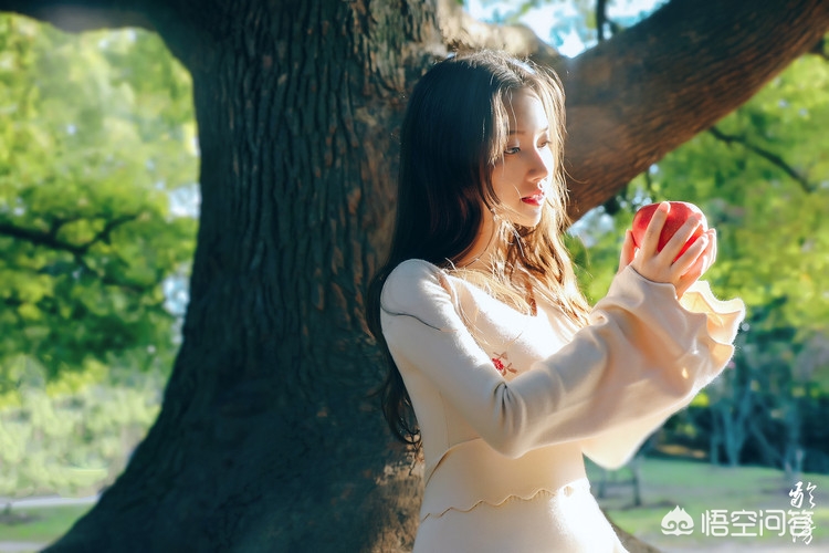 今日科普一下！走火电视剧星辰影院在线观看,百科词条爱好_2024最新更新