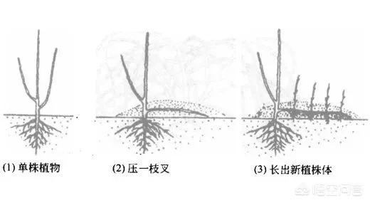 今日科普一下！1877澳门免费资料大全,百科词条爱好_2024最新更新