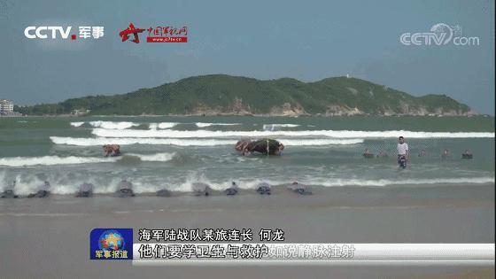 今日科普一下！海军陆战队员,百科词条爱好_2024最新更新